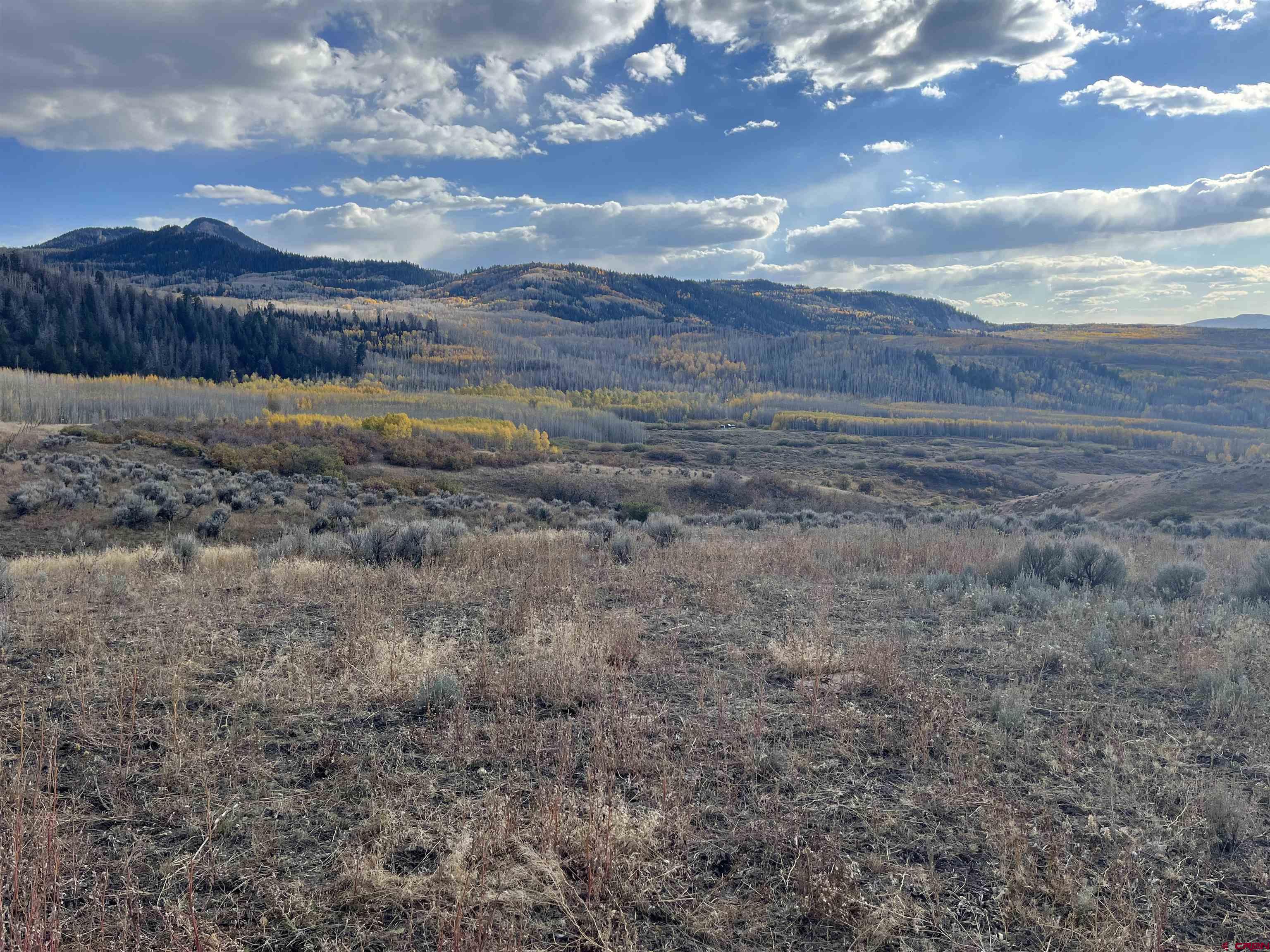 Tbd Q 72 Road Montrose, CO 81401 - Photo 4 of 12 a view of a lake with a big yard