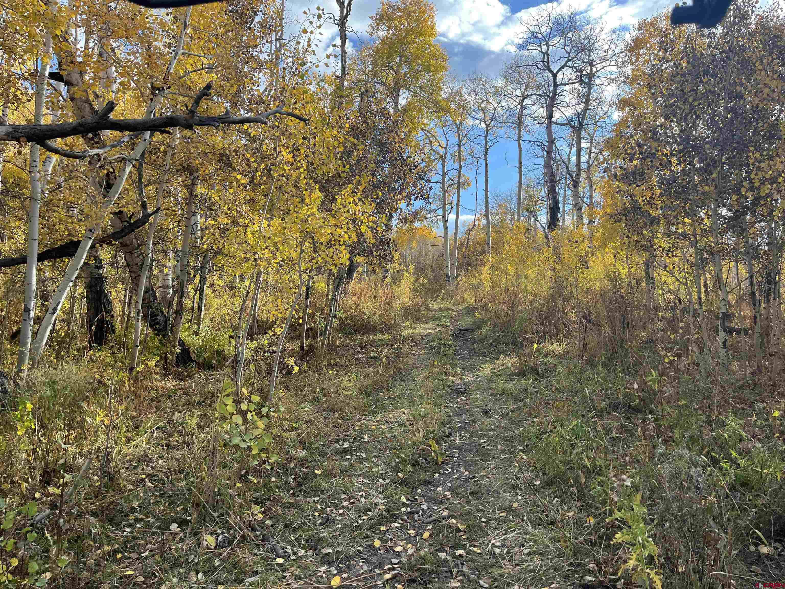 Tbd Q 72 Road Montrose, CO 81401 - Photo 5 of 12 a view of yard covered with green space