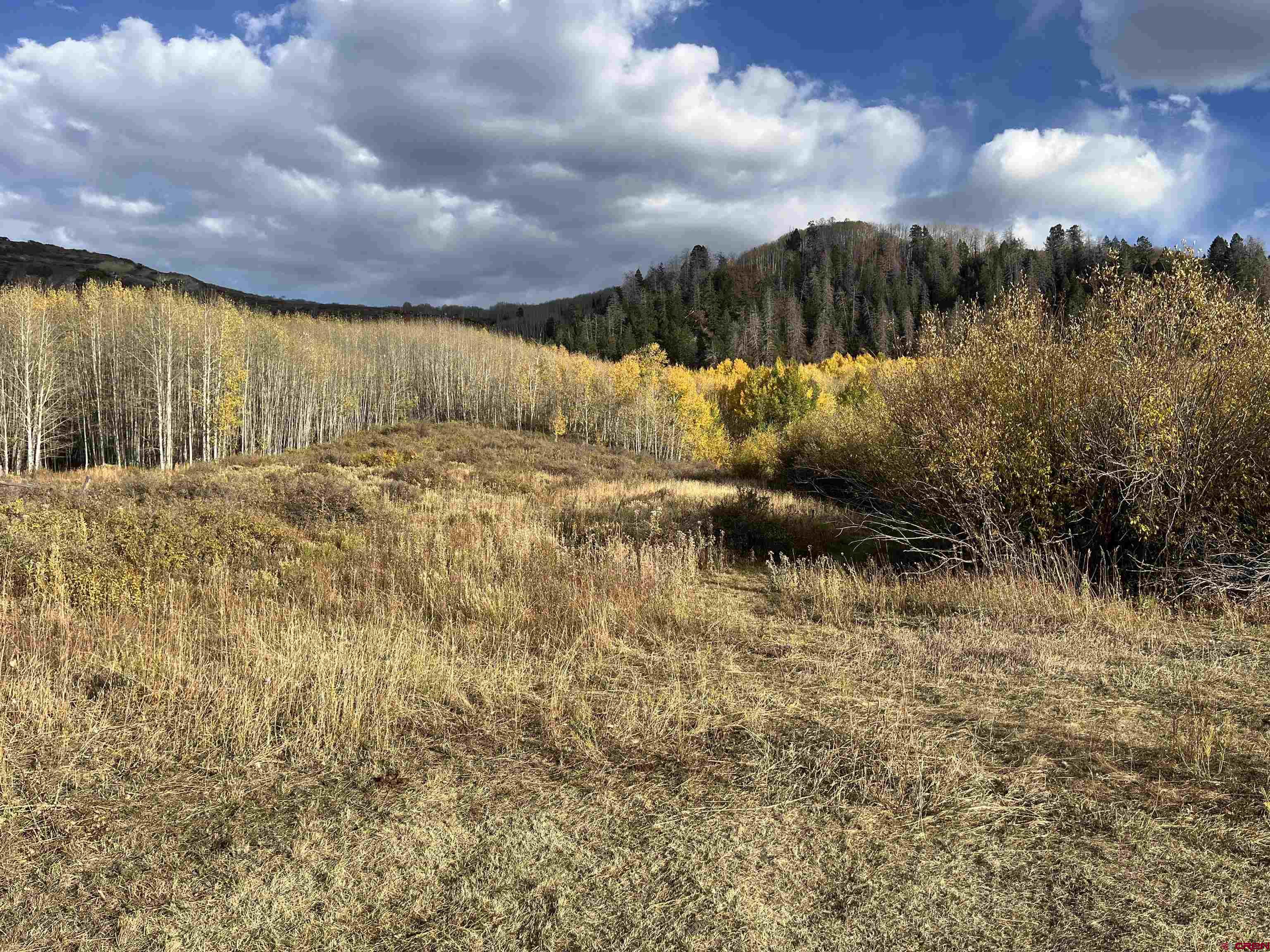 Tbd Q 72 Road Montrose, CO 81401 - Photo 7 of 12 a view of a lake