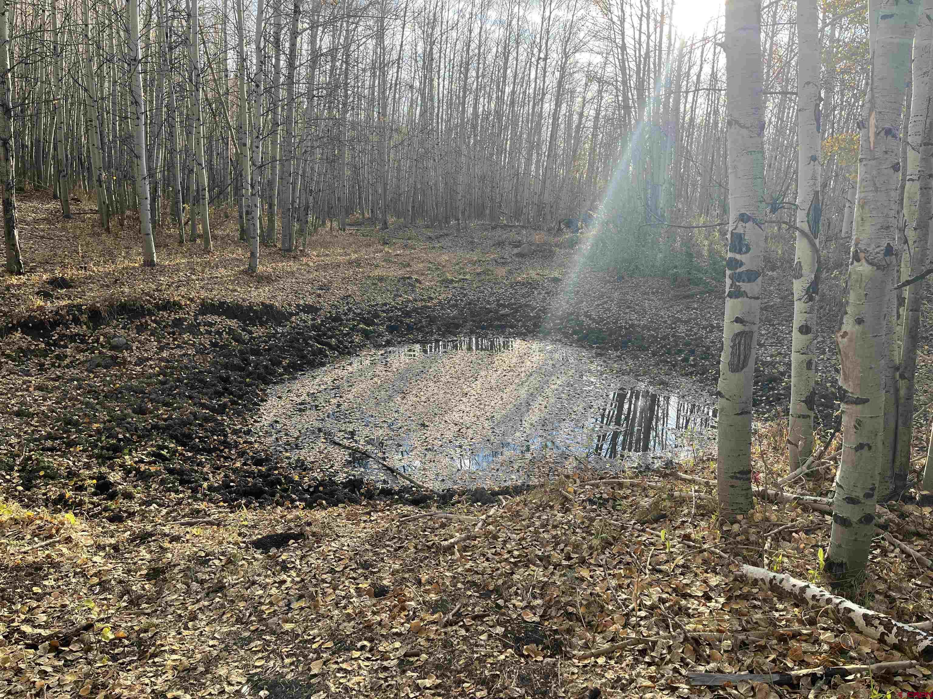 Tbd Q 72 Road Montrose, CO 81401 - Photo 8 of 12 a view of a yard with large trees