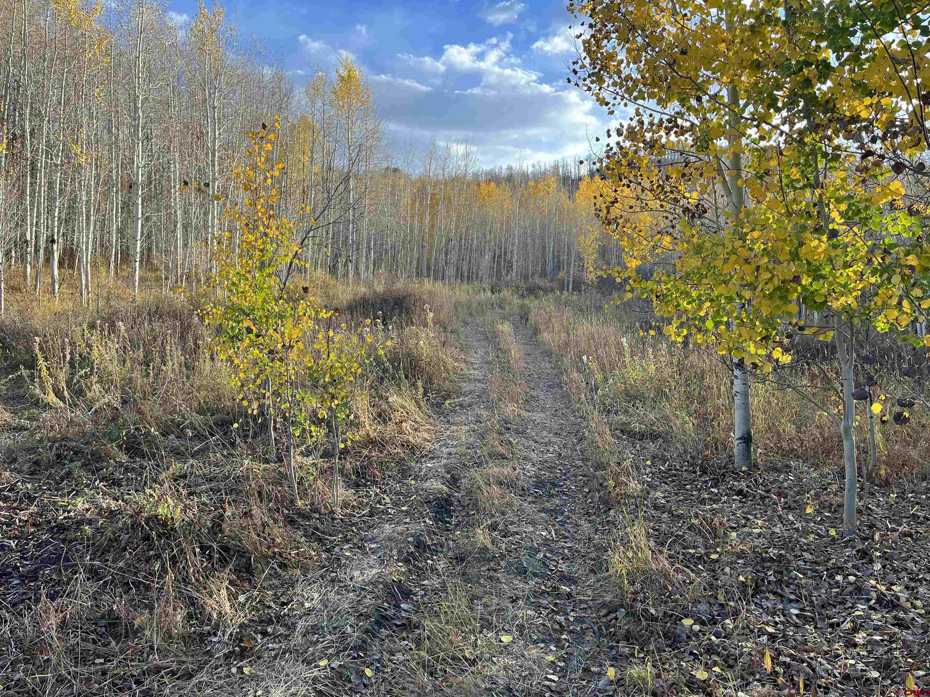 Tbd Q 72 Road Montrose, CO 81401 - Photo 10 of 12 a view of a garden