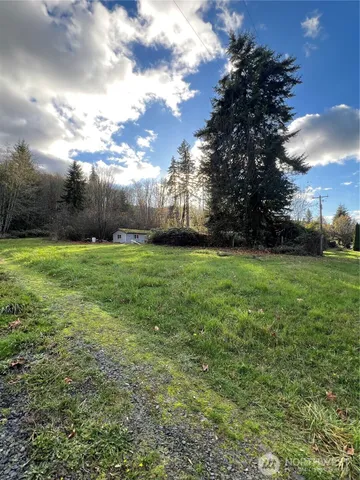 a view of a big yard with plants and large trees