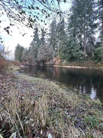a view of a lake with a tree