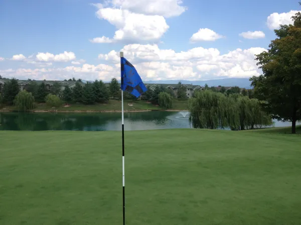 a view of a golf course with a lake