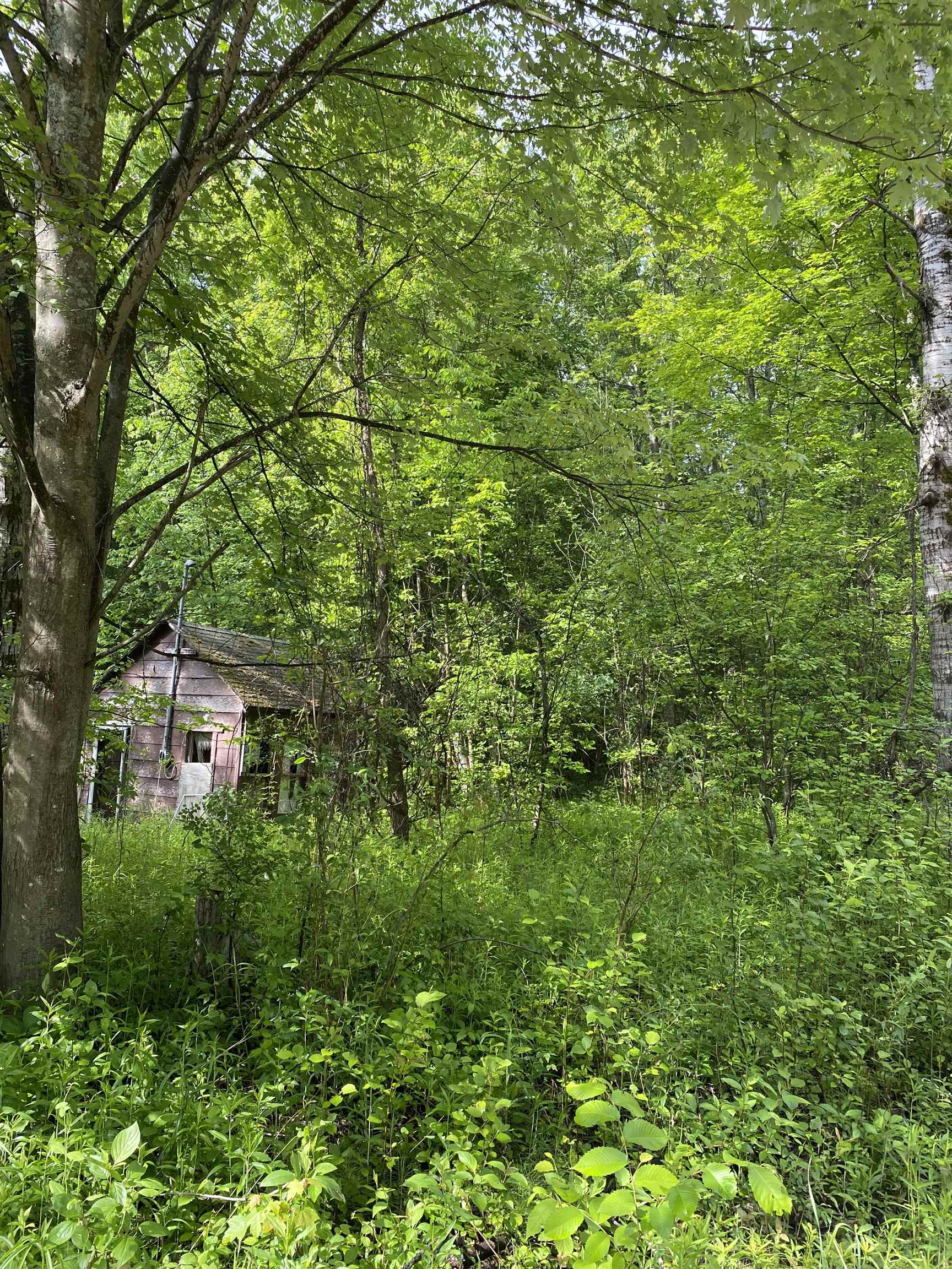 15991 Bentley Road Thompsonville, MI 49683 - Photo 9 of 19