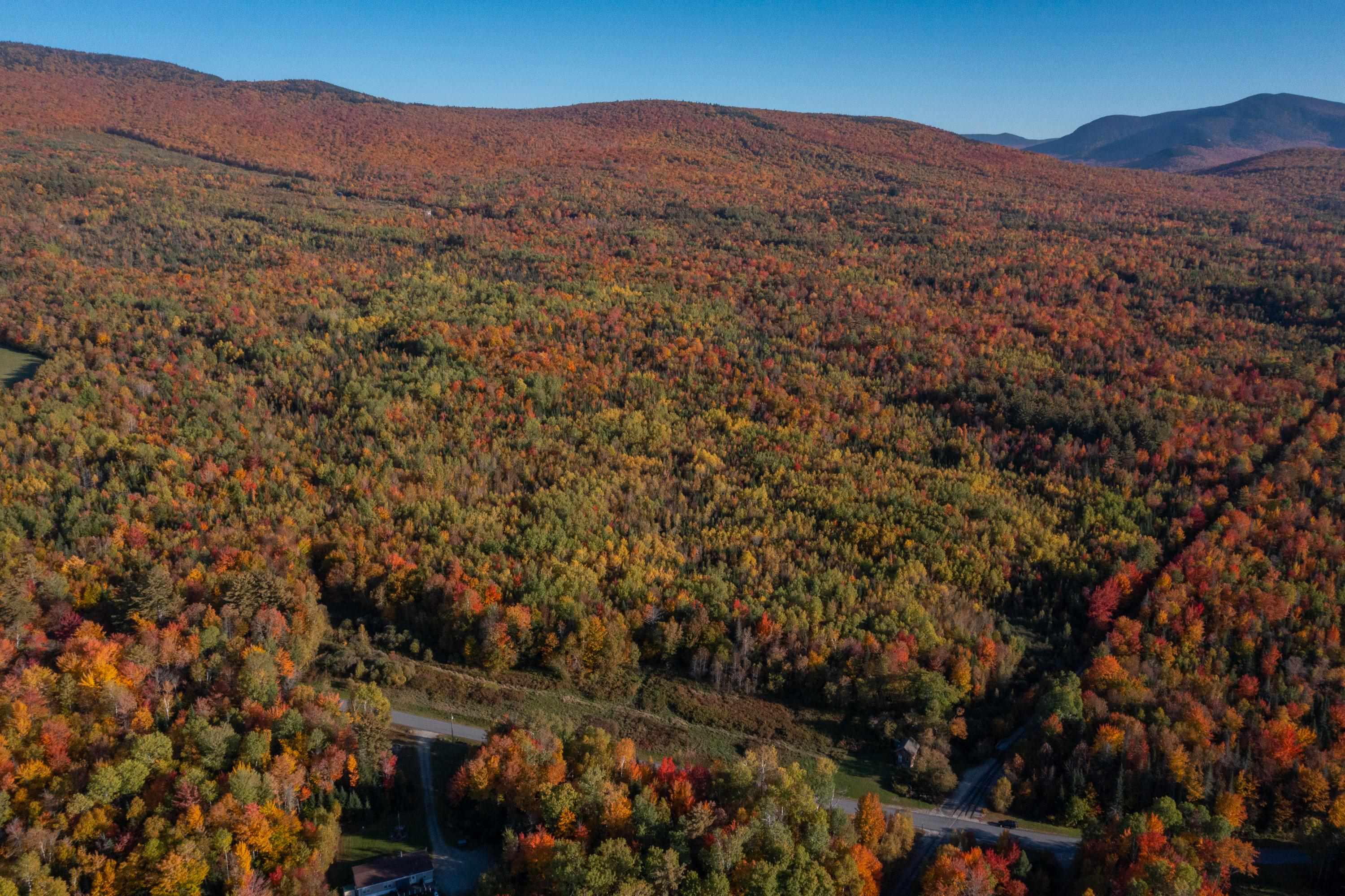Tbd Lennon Road Carroll, NH 03598 - Photo 4 of 11 Gallery Image 4