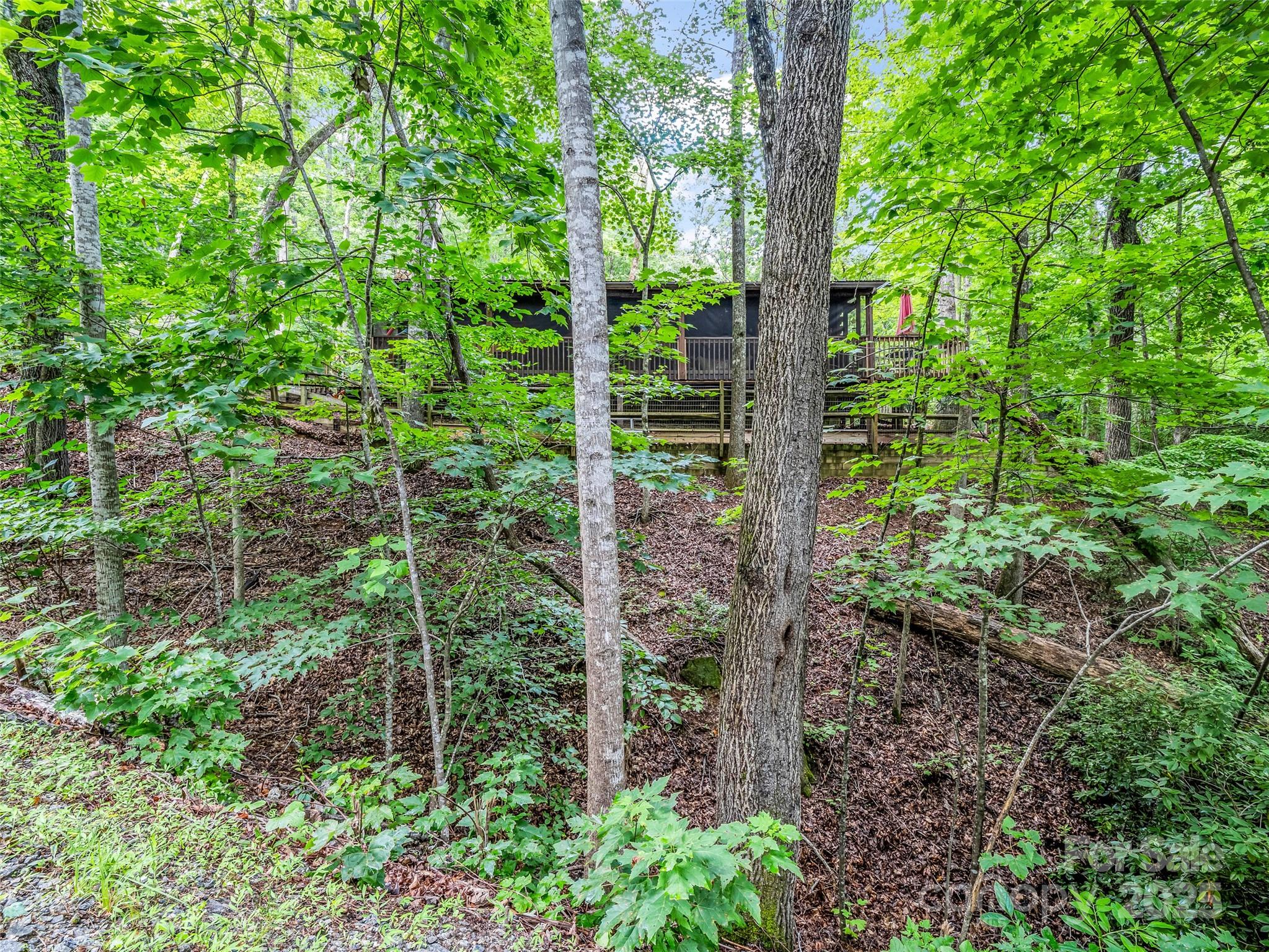 116 Chalet Road Lake Lure, NC 28746 - Photo 28 of 40