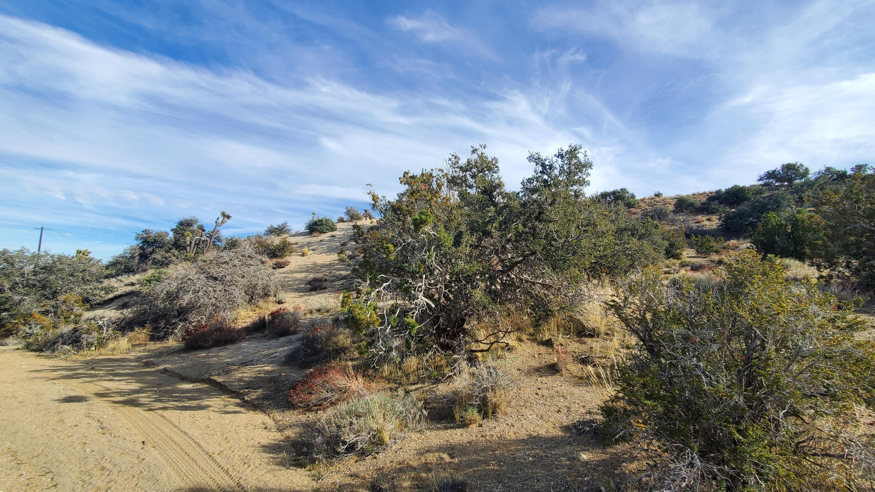 Ross Road Juniper Hills, CA 93543 - Photo 12 of 50 3059-008-069 & 070 (12)