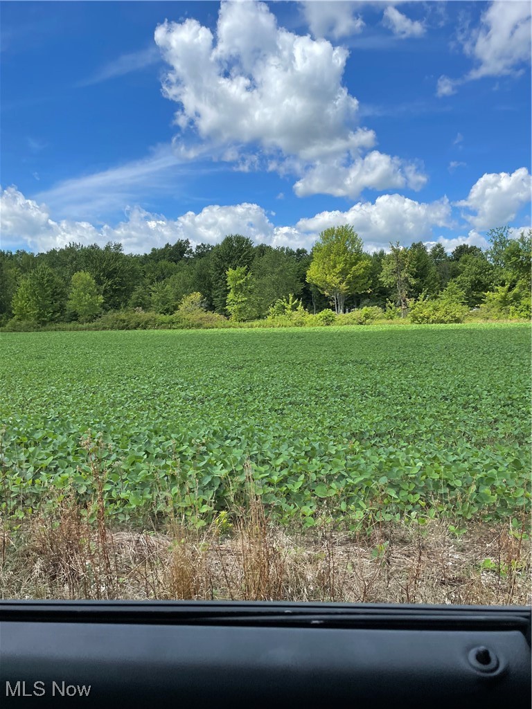 Cowley Road Columbia Station, OH 44028 - Photo 5 of 6 View of local wilderness with rows of crops and rural landscape