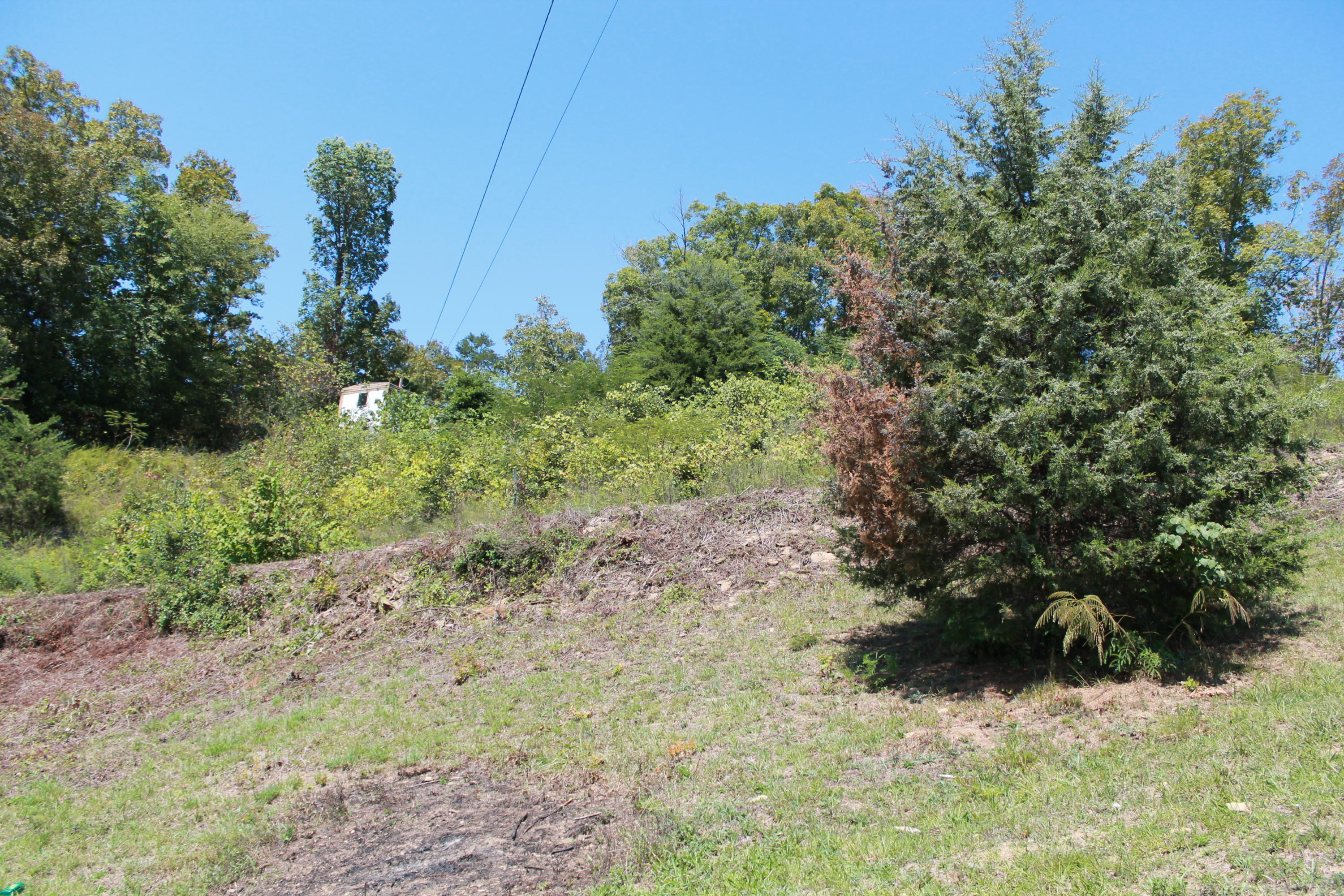 1086 Powder Springs Road Sevierville, TN 37876 - Photo 20 of 25 IMG_8134