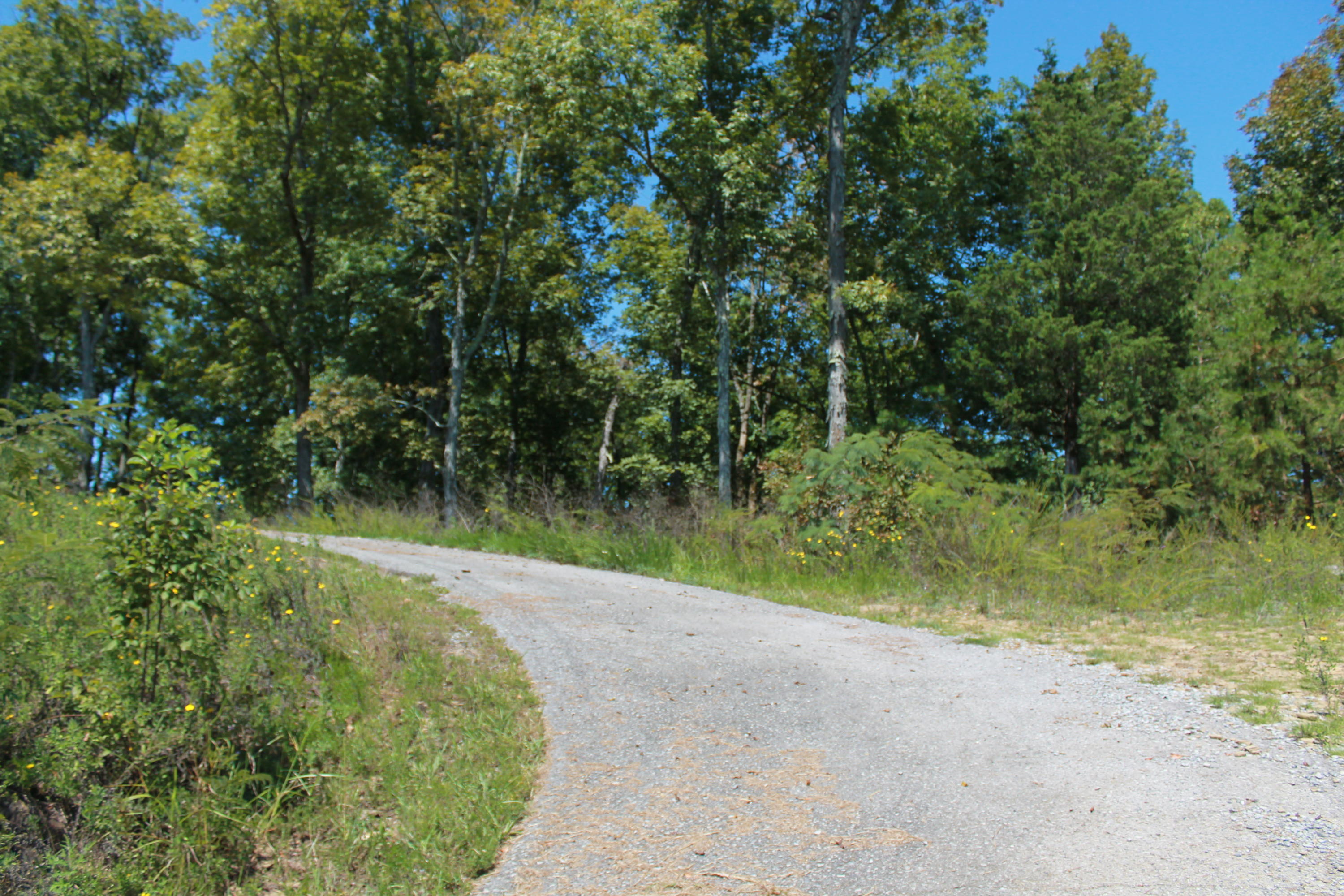 1086 Powder Springs Road Sevierville, TN 37876 - Photo 23 of 25 IMG_8143