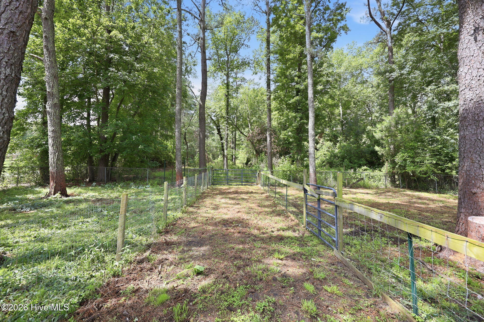 1040 Broad Creek Road New Bern, NC 28560 - Photo 29 of 47 Pasture areas