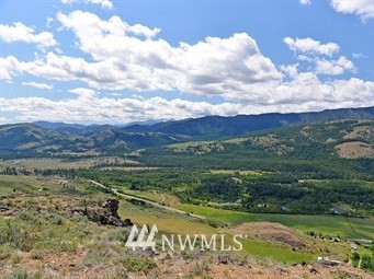 2-xx 2-xx Gunn Ranch Road Winthrop, WA 98862 - Photo 4 of 4 Gallery Image 4
