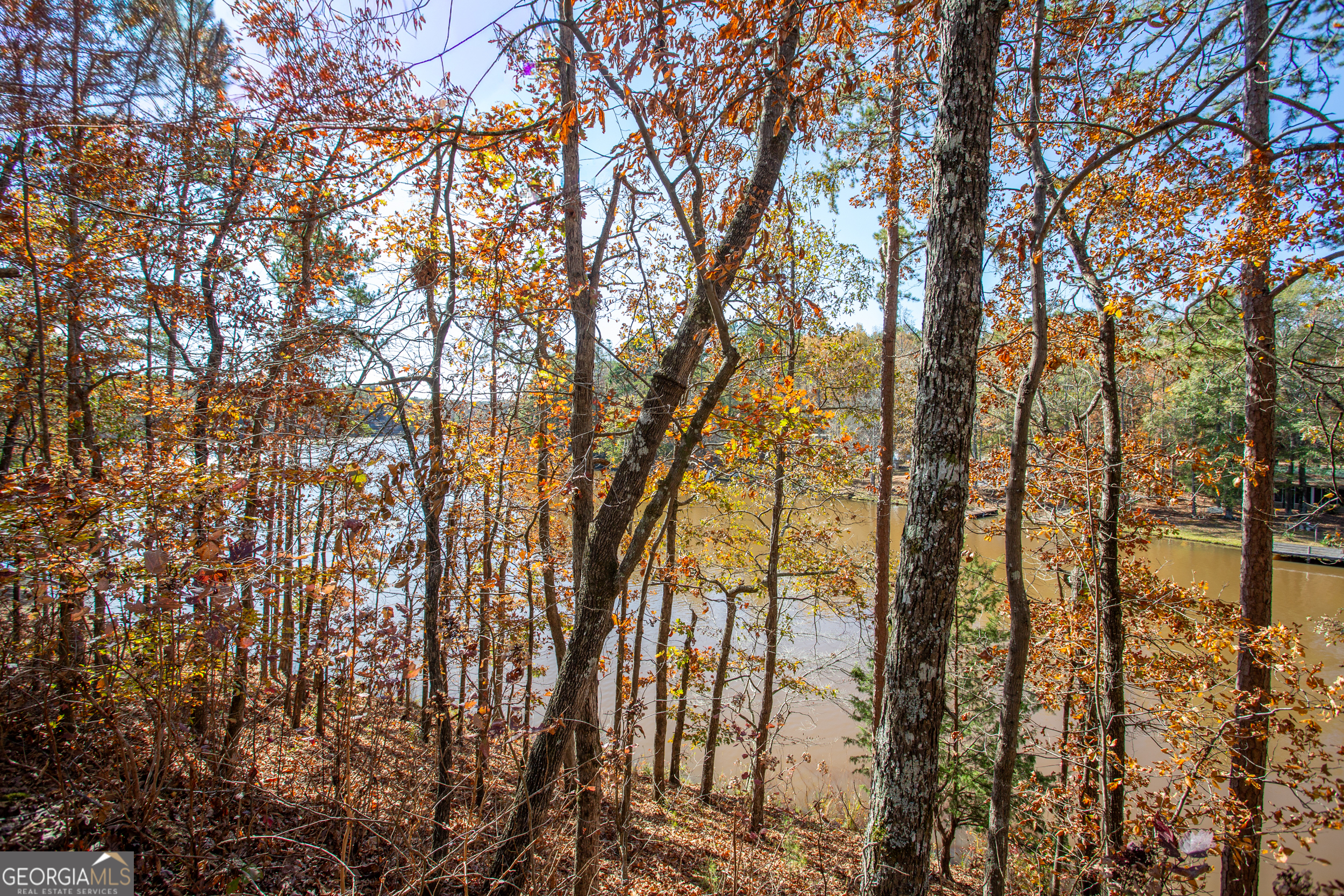 114 Lakeside Circle Delta, AL 36258 - Photo 22 of 22 a view of forest