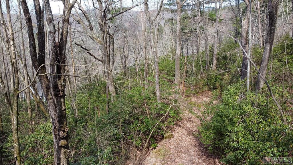 7 Tower Road Sapphire, NC 28774 - Photo 19 of 28 Gallery Image 19