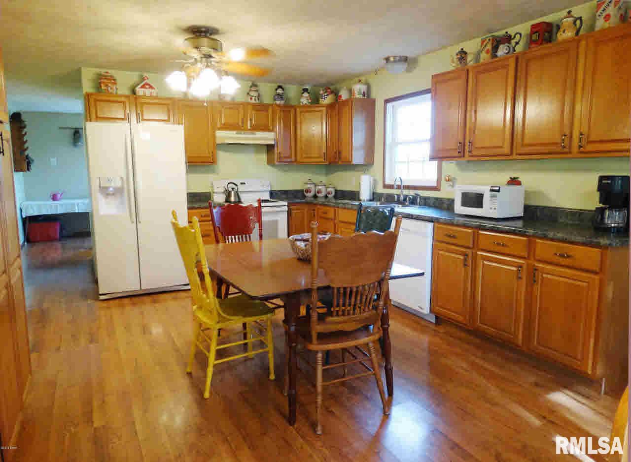 23927 Galatia Post Road Carrier Mills, IL 62917 - Photo 10 of 36