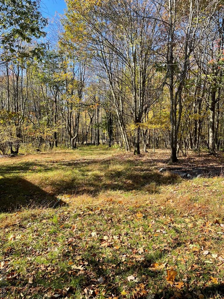 Fleegle Road Schellsburg, PA 15559 - Photo 18 of 20