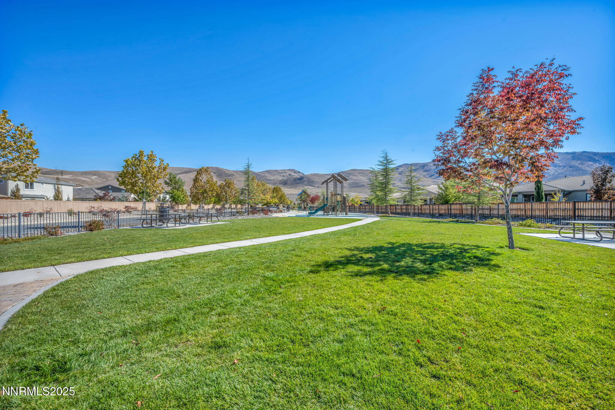 9845 Copenhagen Way Reno, NV 89521 - Photo 46 of 57 a view of a field with grass and trees