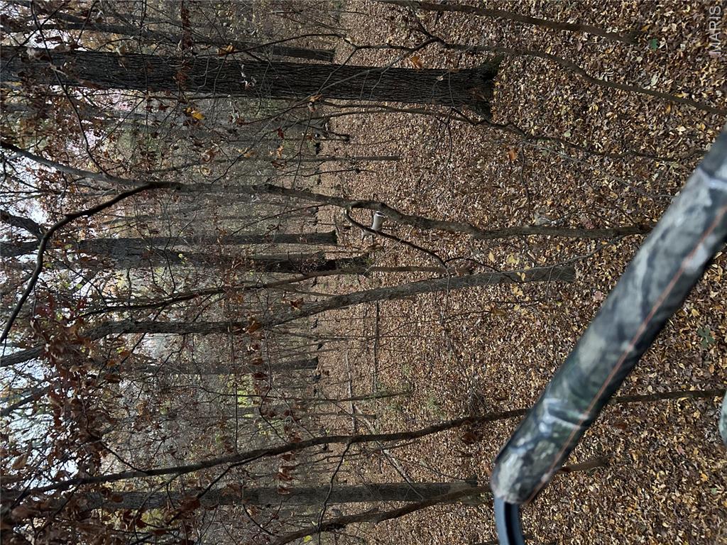 0 Metcalf Road Iuka, IL 62849 - Photo 11 of 37