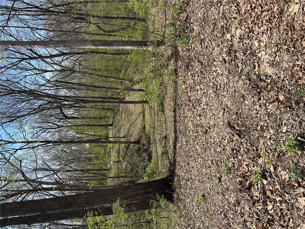 0 Metcalf Road Iuka, IL 62849 - Photo 12 of 37