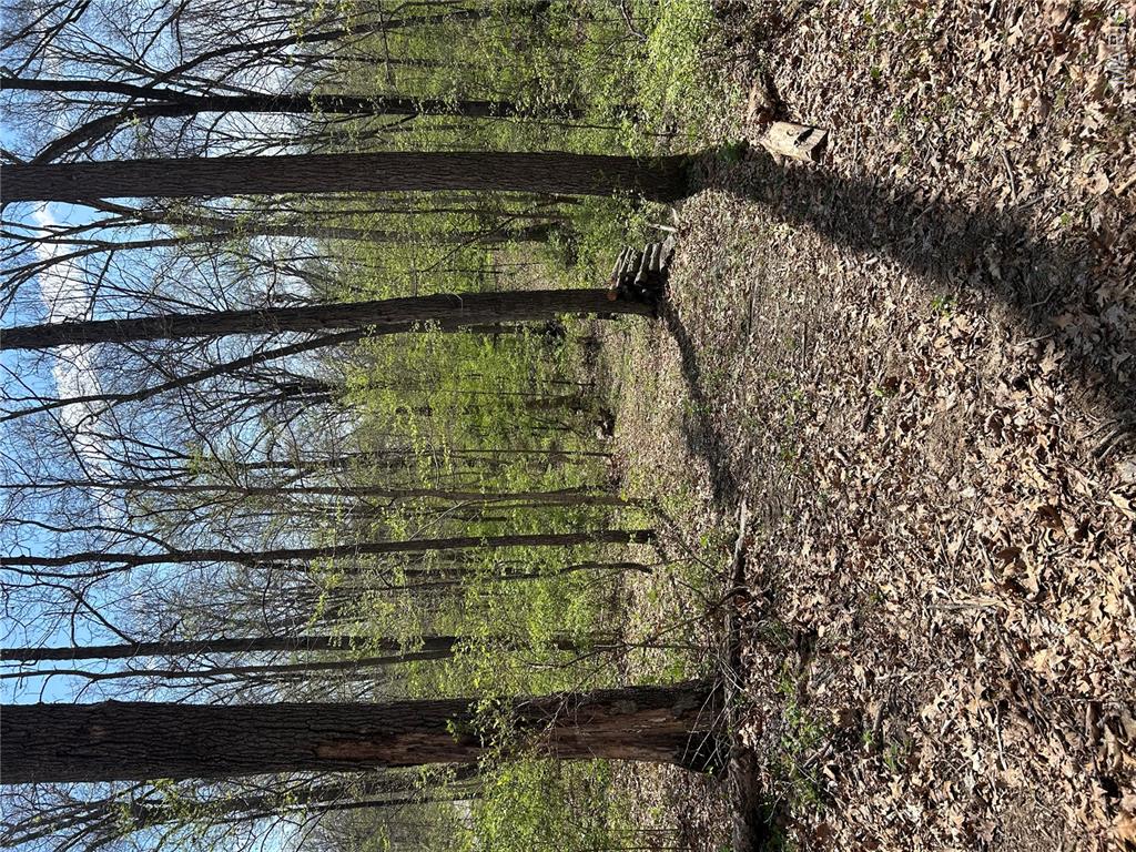 0 Metcalf Road Iuka, IL 62849 - Photo 13 of 37