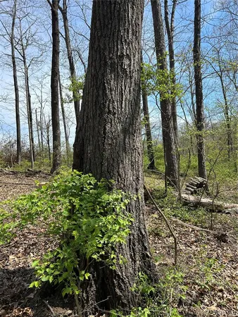 $75,000 | 0 Metcalf Road, Iuka, IL 62849