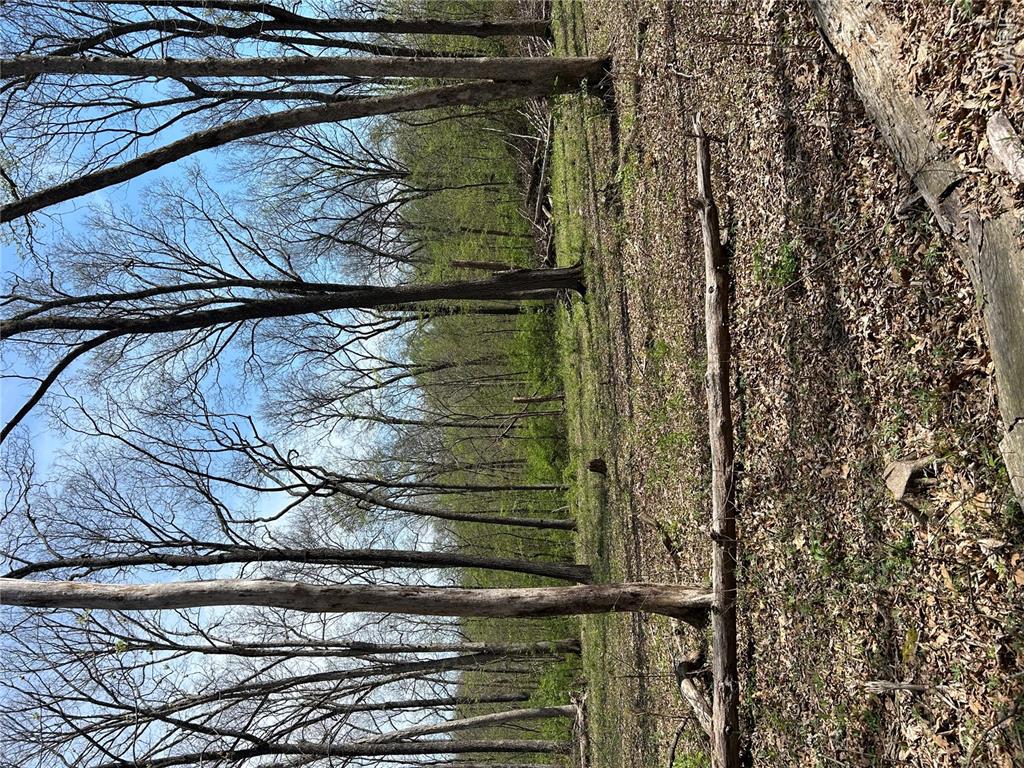 0 Metcalf Road Iuka, IL 62849 - Photo 15 of 37