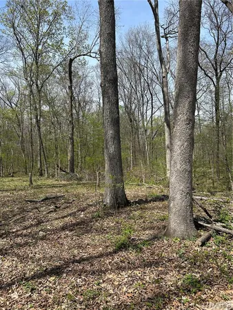 $75,000 | 0 Metcalf Road, Iuka, IL 62849