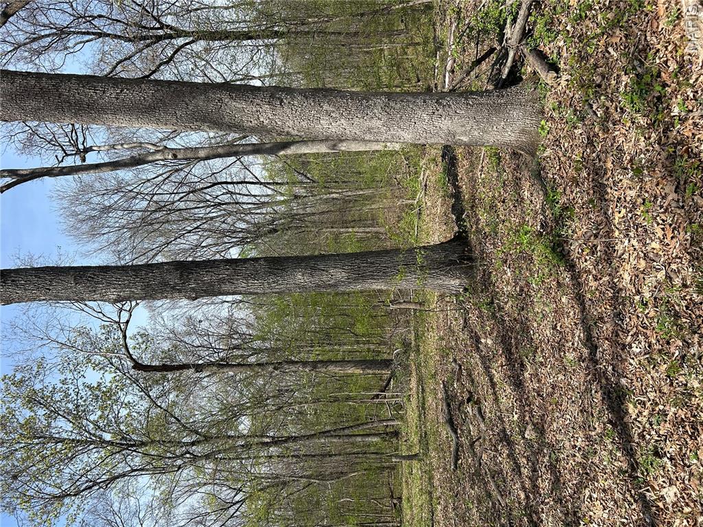 0 Metcalf Road Iuka, IL 62849 - Photo 16 of 37