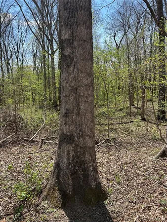 $75,000 | 0 Metcalf Road, Iuka, IL 62849