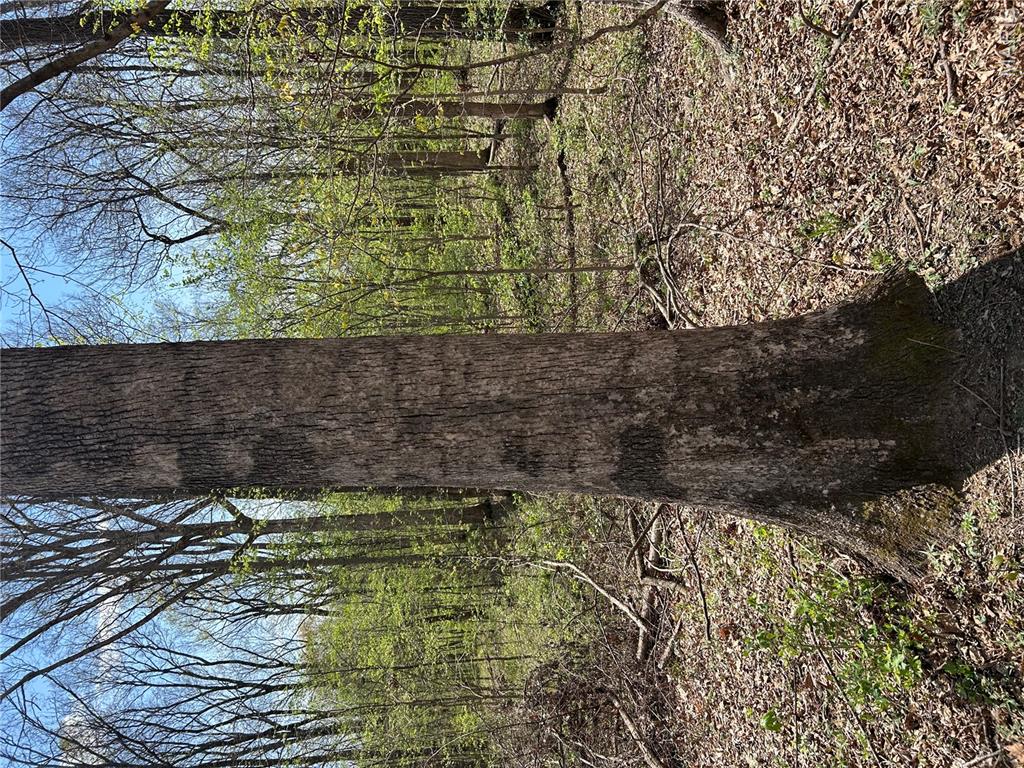 0 Metcalf Road Iuka, IL 62849 - Photo 17 of 37