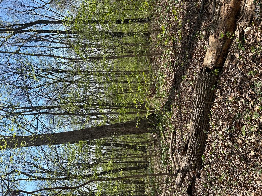 0 Metcalf Road Iuka, IL 62849 - Photo 18 of 37