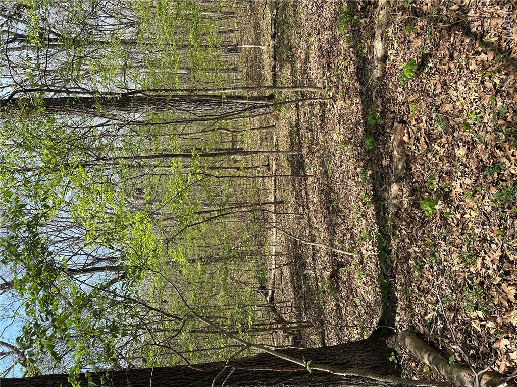 0 Metcalf Road Iuka, IL 62849 - Photo 19 of 37