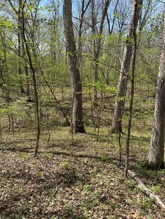 $75,000 | 0 Metcalf Road, Iuka, IL 62849
