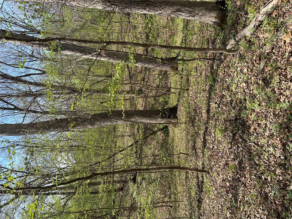 0 Metcalf Road Iuka, IL 62849 - Photo 20 of 37