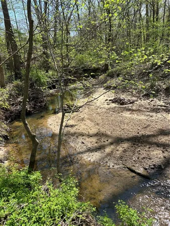$75,000 | 0 Metcalf Road, Iuka, IL 62849