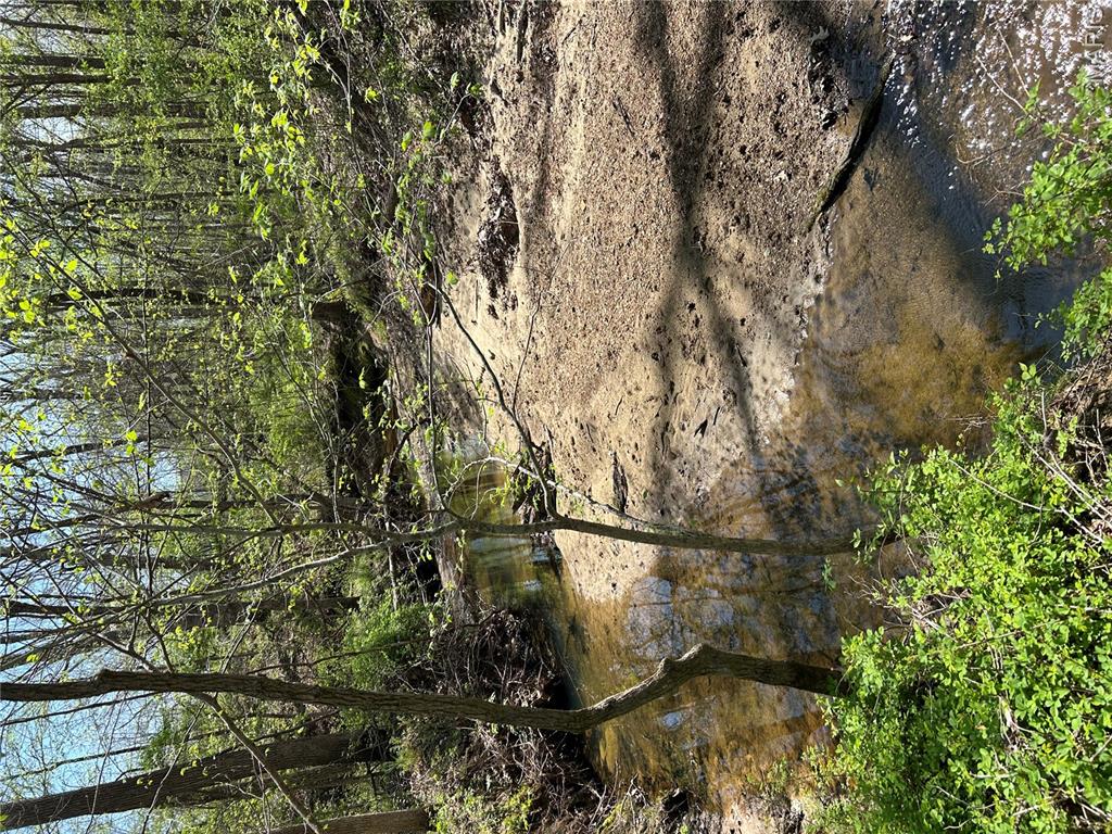 0 Metcalf Road Iuka, IL 62849 - Photo 21 of 37