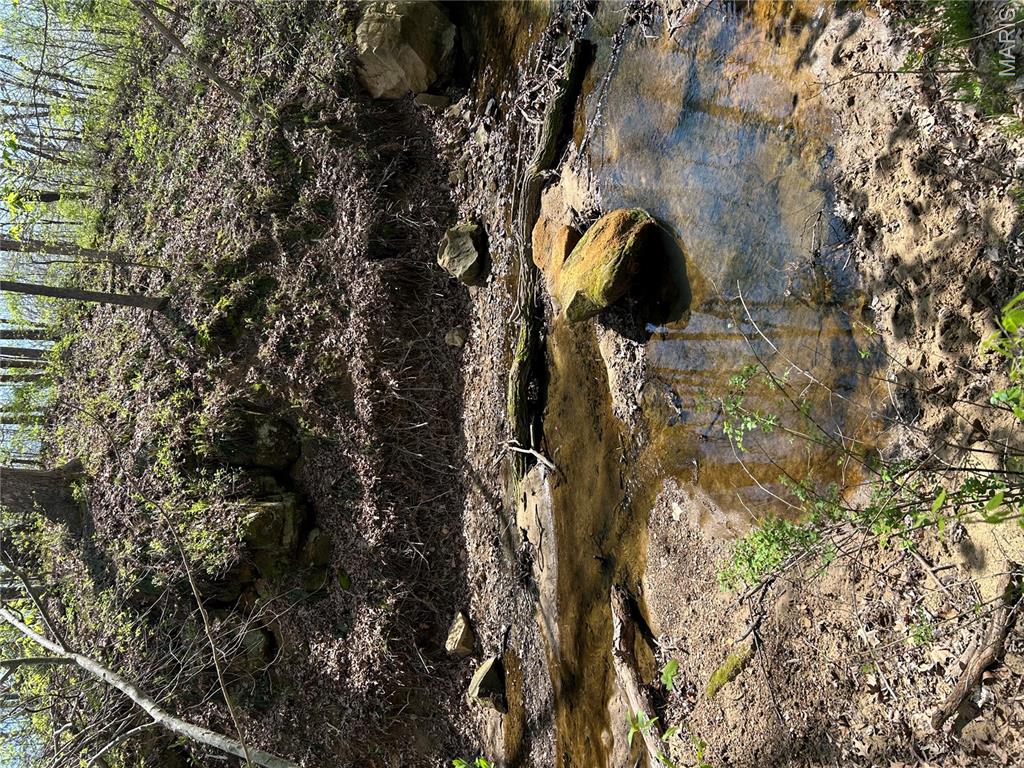 0 Metcalf Road Iuka, IL 62849 - Photo 23 of 37