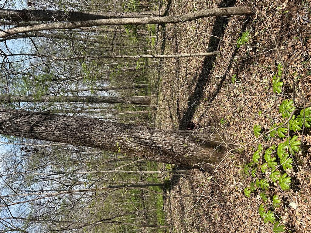 0 Metcalf Road Iuka, IL 62849 - Photo 24 of 37