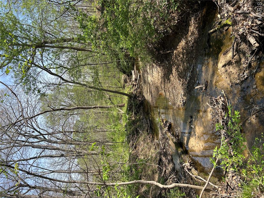 0 Metcalf Road Iuka, IL 62849 - Photo 25 of 37