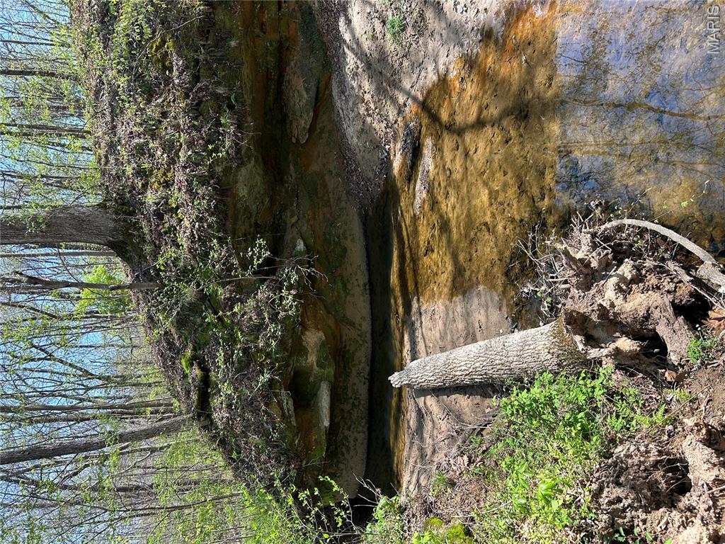 0 Metcalf Road Iuka, IL 62849 - Photo 26 of 37