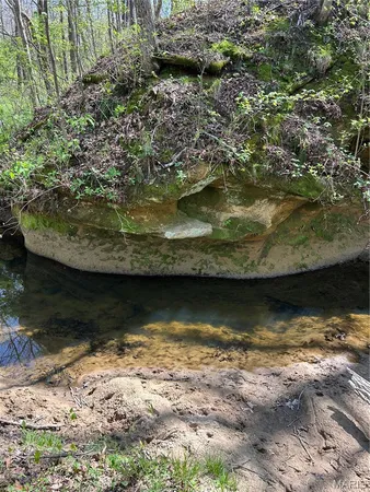 $75,000 | 0 Metcalf Road, Iuka, IL 62849