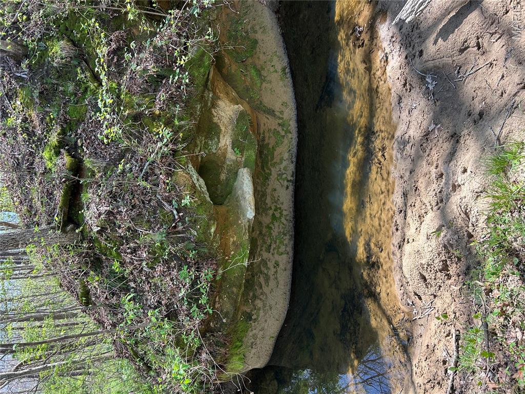 0 Metcalf Road Iuka, IL 62849 - Photo 27 of 37