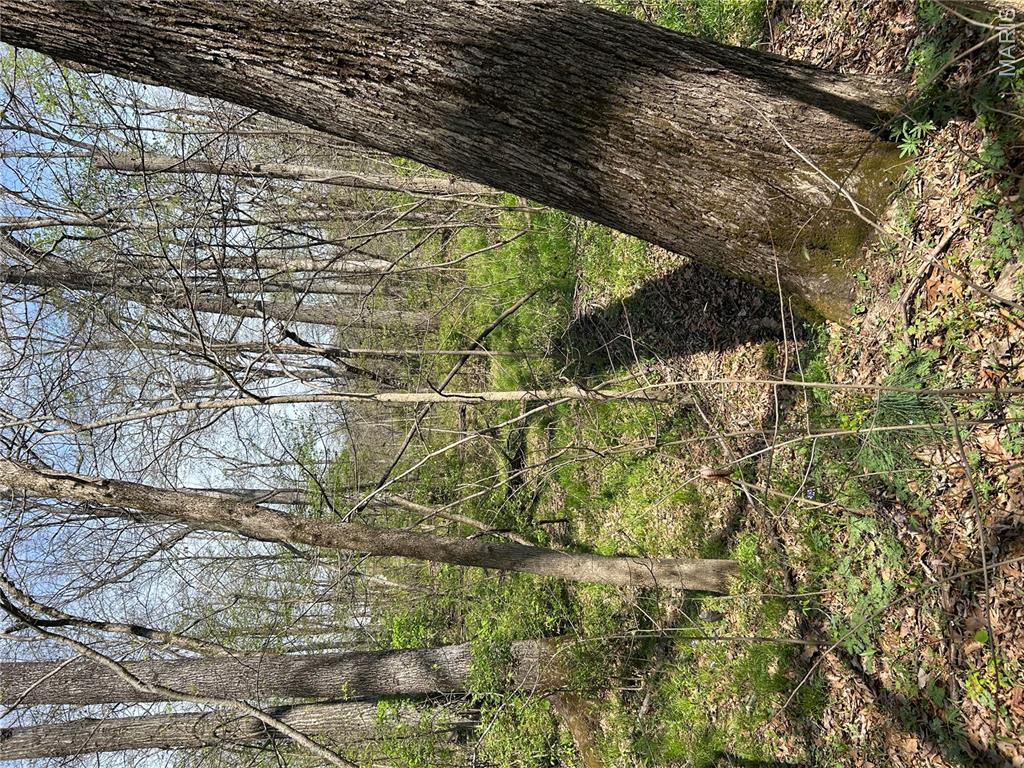 0 Metcalf Road Iuka, IL 62849 - Photo 28 of 37