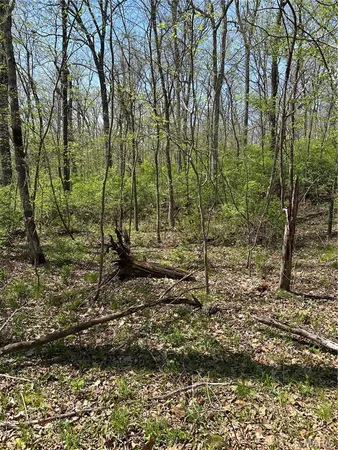 $75,000 | 0 Metcalf Road, Iuka, IL 62849