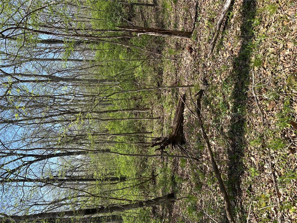 0 Metcalf Road Iuka, IL 62849 - Photo 29 of 37