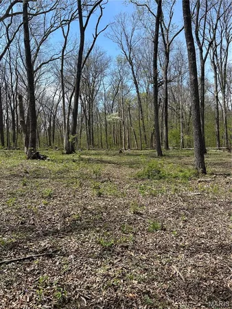 $75,000 | 0 Metcalf Road, Iuka, IL 62849