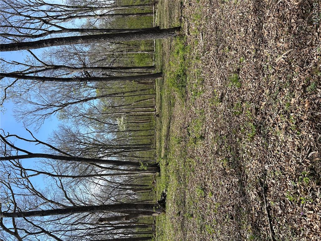 0 Metcalf Road Iuka, IL 62849 - Photo 31 of 37