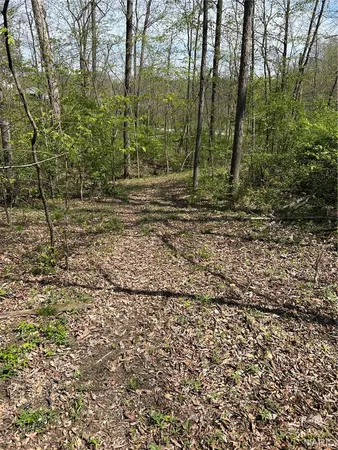 $75,000 | 0 Metcalf Road, Iuka, IL 62849