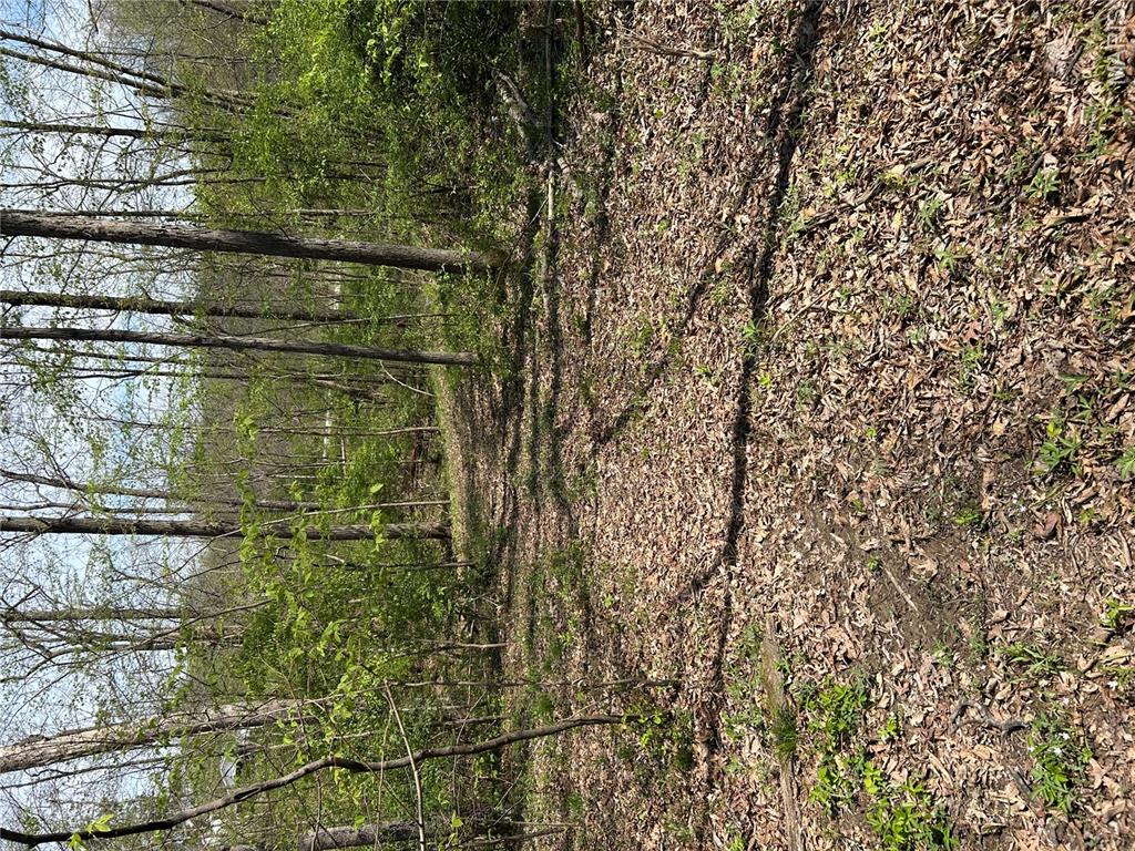 0 Metcalf Road Iuka, IL 62849 - Photo 32 of 37